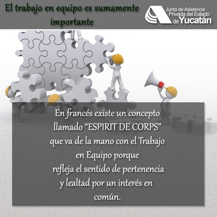 JAPEYYucatan's tweet photo. Sin duda trabajar solo es posible, pero en equipo, es mucho mejor 👍

#Valores #JAPEY https://t.co/WPaLjW0dqV