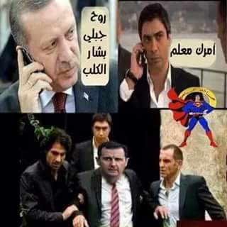 Aobaeda Homs tweet media