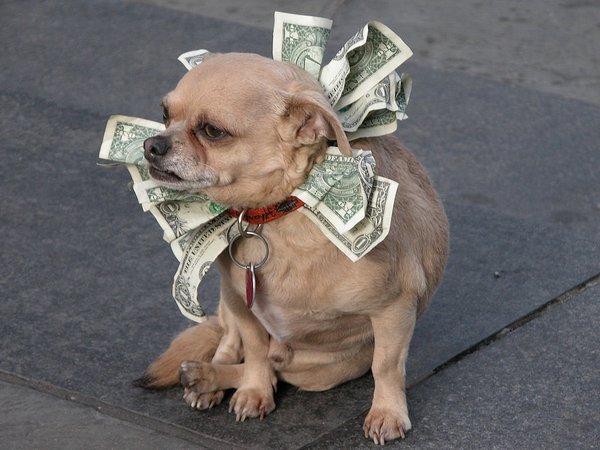 AdolfoCubas's tweet photo. Retweeted albenis AJRG (@albenisg011):

Si me pagaran por ser celoso https://t.co/jvGpkJOLmp https://t.co/e7qNCRH11U
