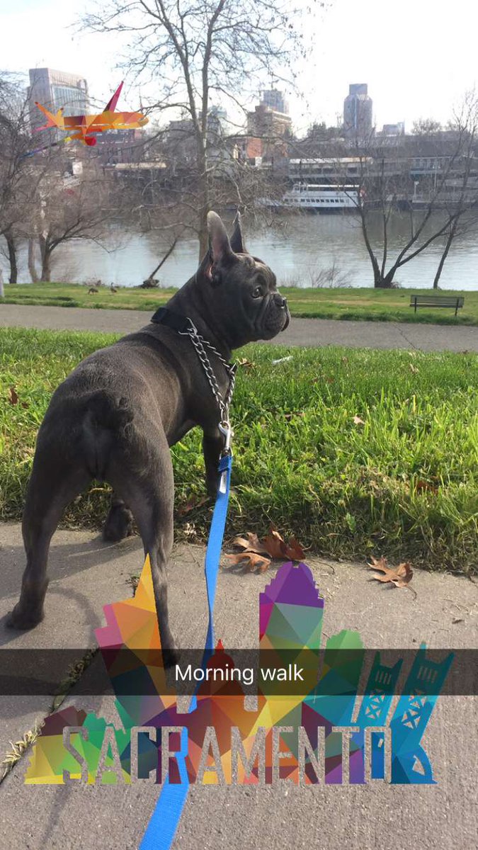 Enjoy being in the moment! #AdviceFromMyPet Create new moments at Capitol Yards! #DowntownAlternative #CapYardsLife