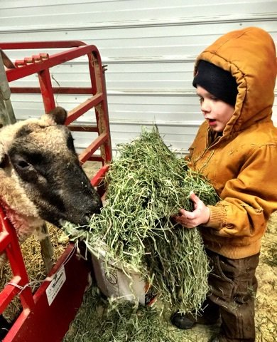 weaverlivestock's tweet photo. Were you or your kids "raised in the barn"? Check out the newest blog post! 
https://t.co/6QgtTFEZaN https://t.co/Jl0vROa6hs