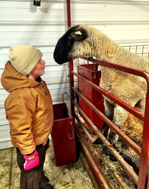 weaverlivestock's tweet photo. Were you or your kids "raised in the barn"? Check out the newest blog post! 
https://t.co/6QgtTFEZaN https://t.co/Jl0vROa6hs