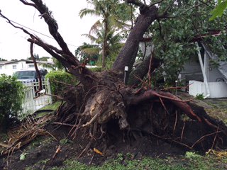 #BREAKING NWS confirms 2 tornadoes in S. Fla. this morning. both EF-1 bit.ly/216AeZr?utm_me… https://t.co/X1Q63TjMAv