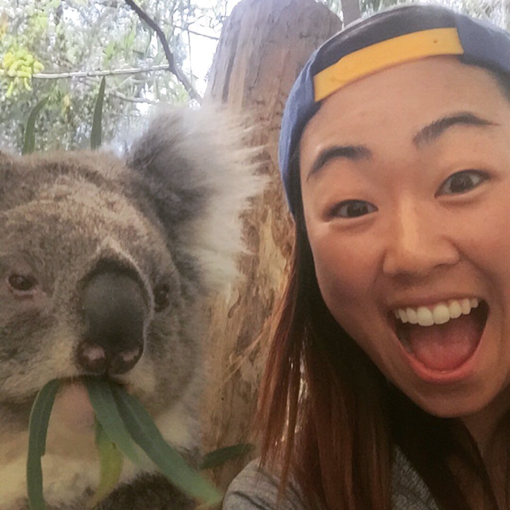 minaharigae's tweet image. G'day from down unda! #koala #Adelaide #seewhy #LPGA