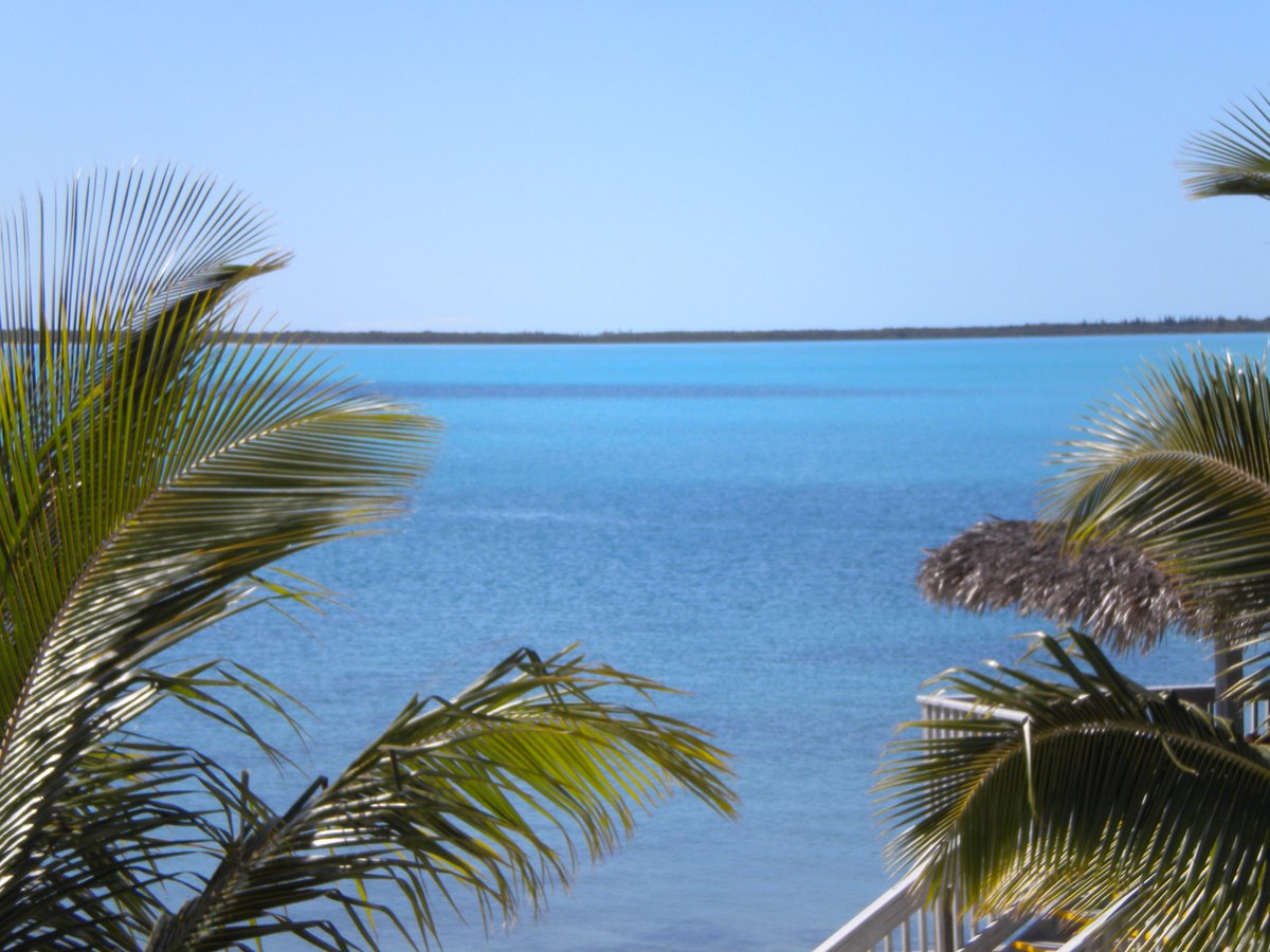 One of my favorite spots in Rock Sound Eleuthera #bahamas