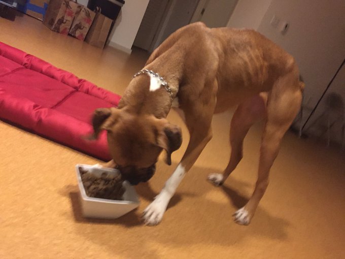 We will be doing at-least 10 different tests. If anyone can help, please let me know. https://t.co/e<a href="/tag/dakotaskye"class="tags"><span>#dakotaskye</span></a>