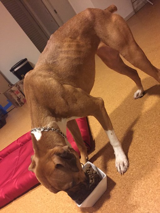 We will be doing at-least 10 different tests. If anyone can help, please let me know. https://t.co/e<a href="/tag/dakotaskye"class="tags"><span>#dakotaskye</span></a>