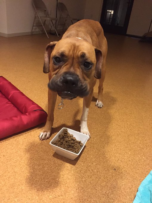 We will be doing at-least 10 different tests. If anyone can help, please let me know. https://t.co/e<a href="/tag/dakotaskye"class="tags"><span>#dakotaskye</span></a>