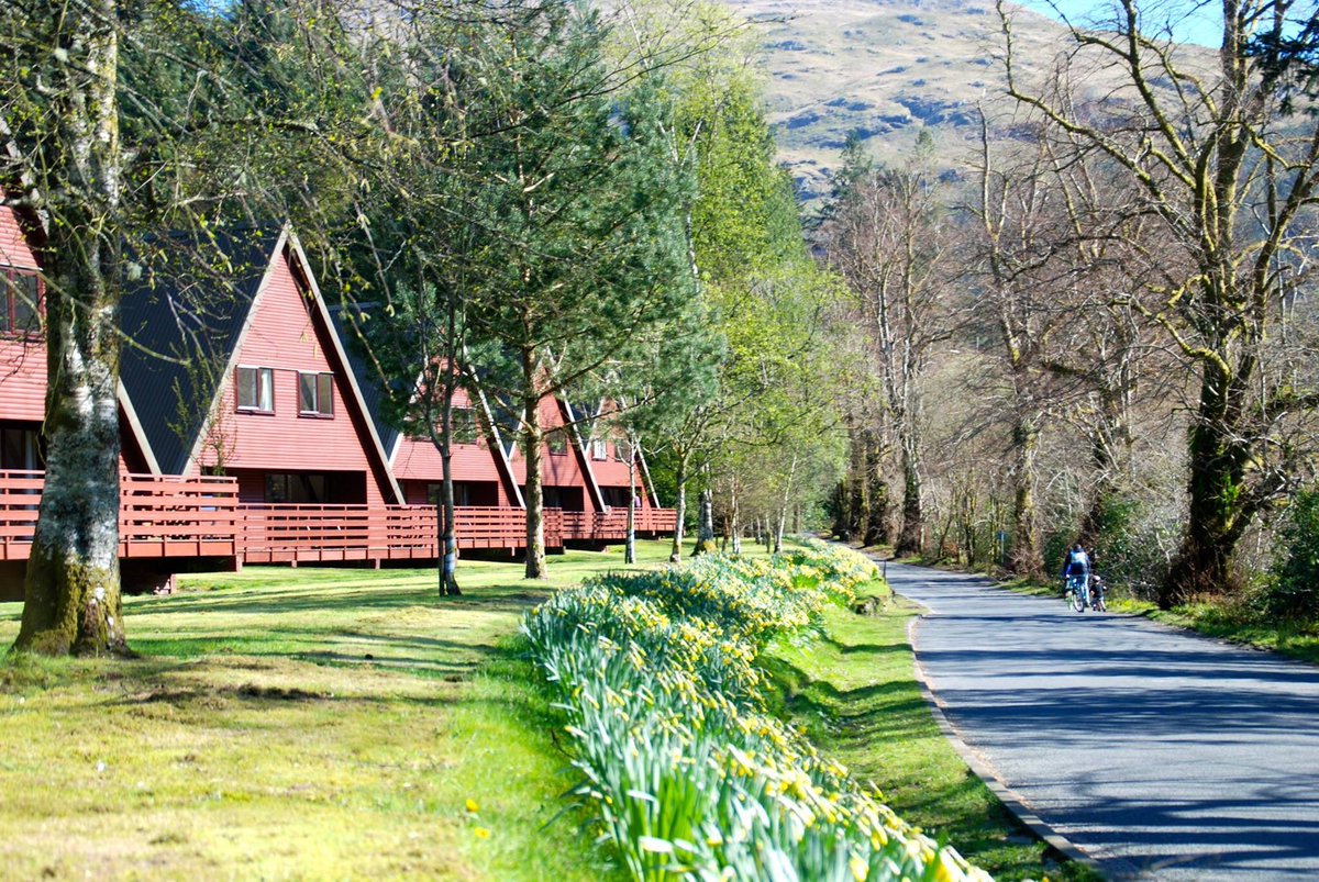 ArgyllHolidays's tweet image. Tell us what gives you #SpringSmiles, and we'll send a few lucky people an Argyll Holidays Scratchcard. #GoodLuck