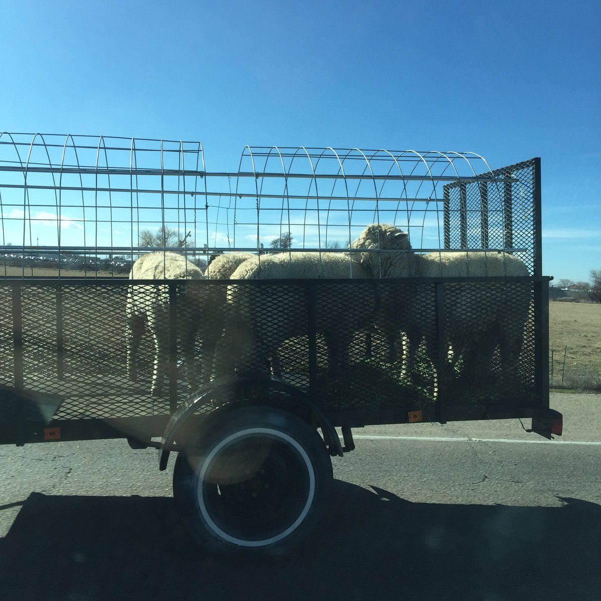 HudockInsurance's tweet image. Are you insured for this cargo?? Message me today if your not sure! #hudockinsurance