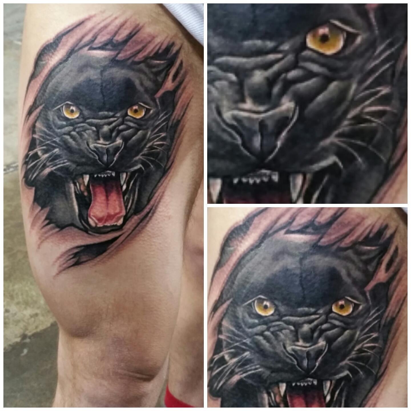 Traditional Panther Tattoo On Chest