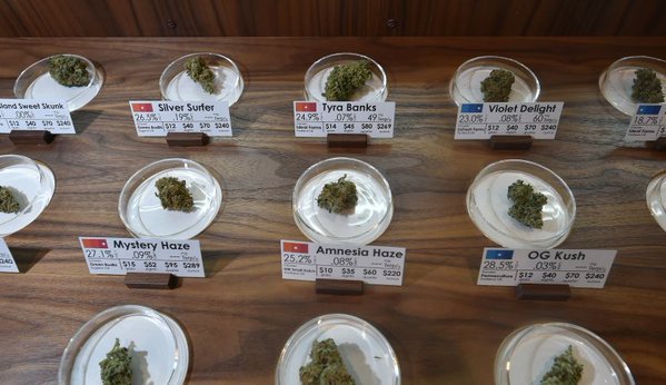 MME_SACRAMENTO's tweet photo. Legal Marijuana Sales Could Hit $6.7 Billion In 2016
  https://t.co/SlHNVqEDvd 
#MME #cannabis #marijuana #cbd https://t.co/28kIIvFgLP