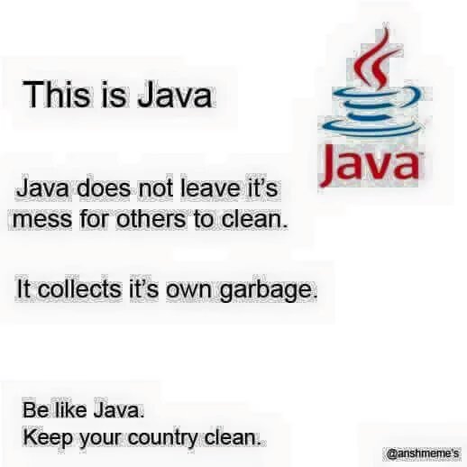 JavaDev5's tweet image. #Java #GarbageCollector