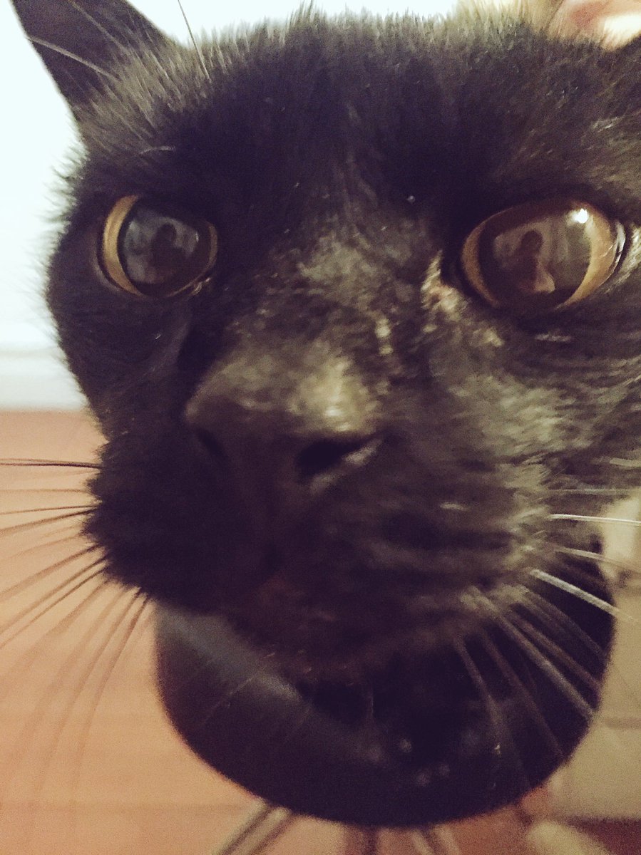 Relentless new alarm clock