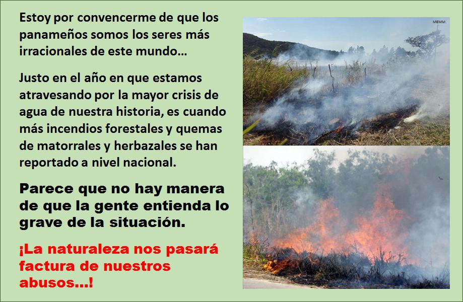 <a href="/HerreraNoticia/">Herrera Noticias</a> <a href="/DistritoDeOcu/">OCUEÑOS🌺</a> <a href="/azuerenses/">azuerenses</a> <a href="/lomejordecocle/">Lo Mejor de Coclé</a> <a href="/LosSantos7/">Los Santos</a> <a href="/Veraguas09/">Veraguas Panamá</a> <a href="/BocasDelToroC1/">Bocas del Toro</a> <a href="/PanamaOesteC13/">DécimaProvinciaC13</a>