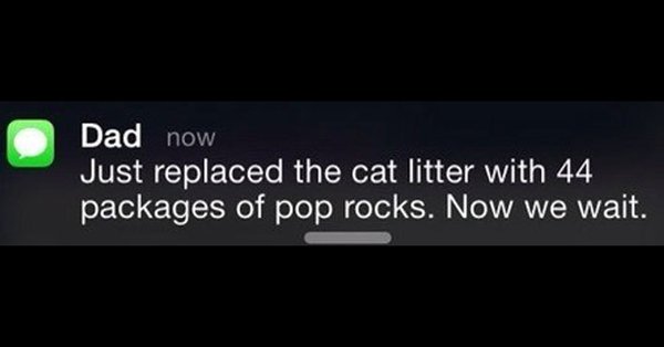 Stoic Reflections tweet media