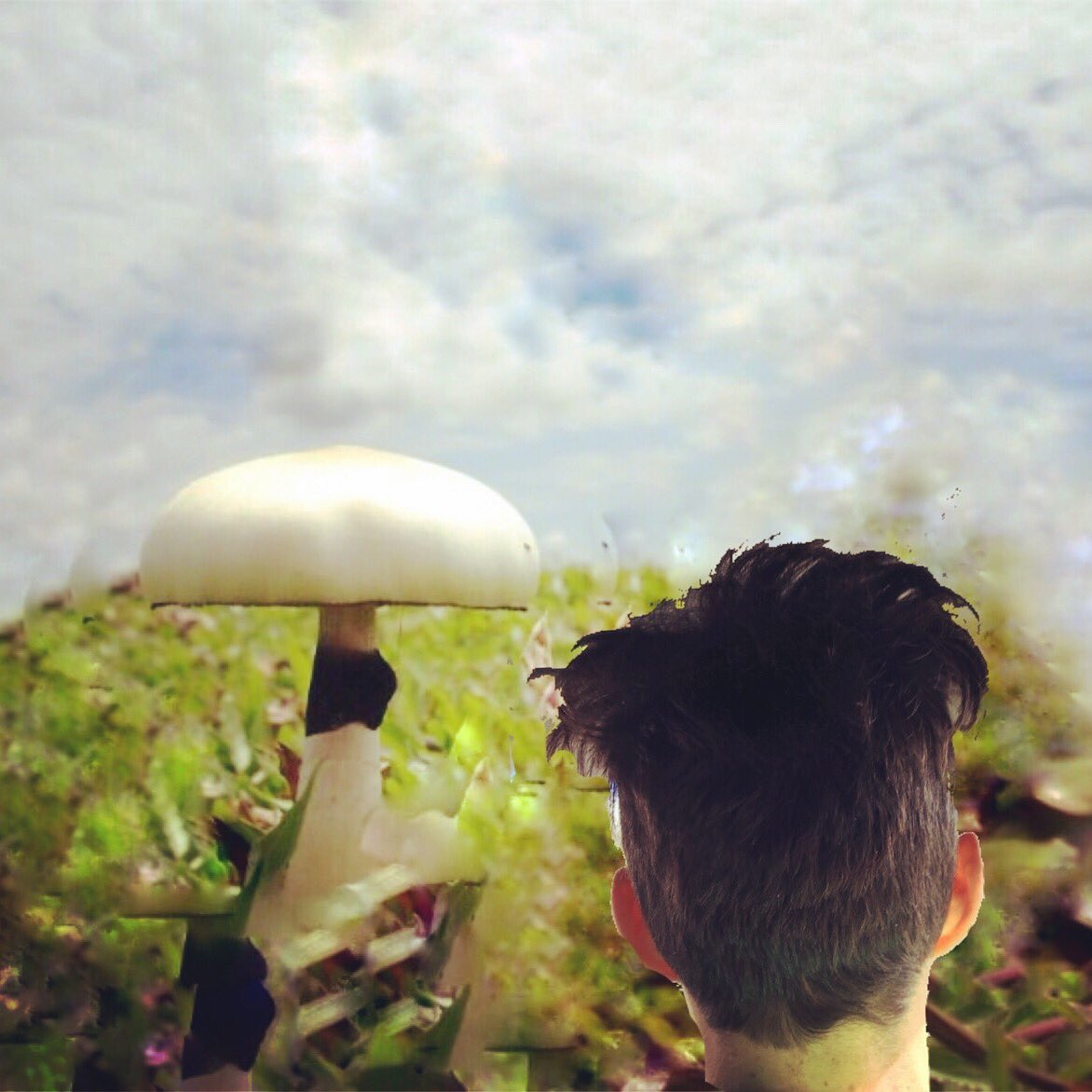 #mushroomhead..s..mushroom