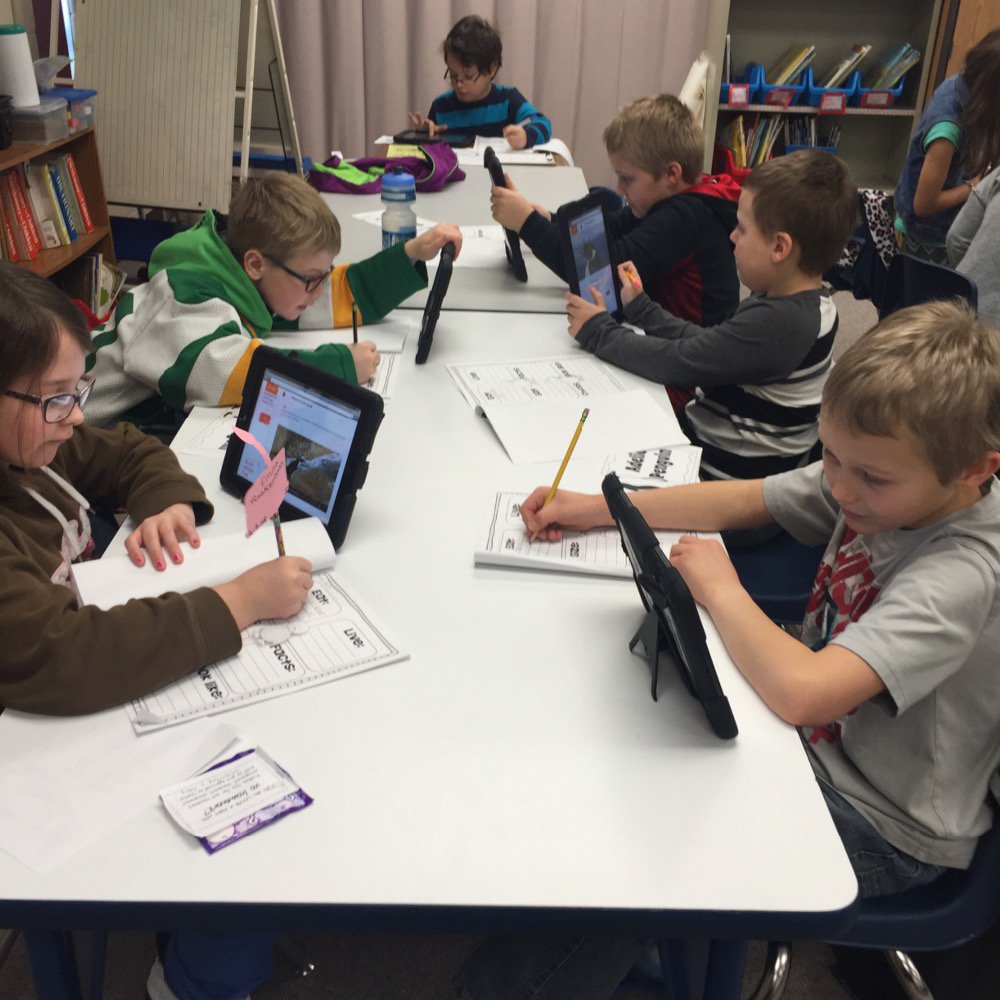 So much penguin research in 2nd grade at rice Elementary! #srrdlday #officialdlday