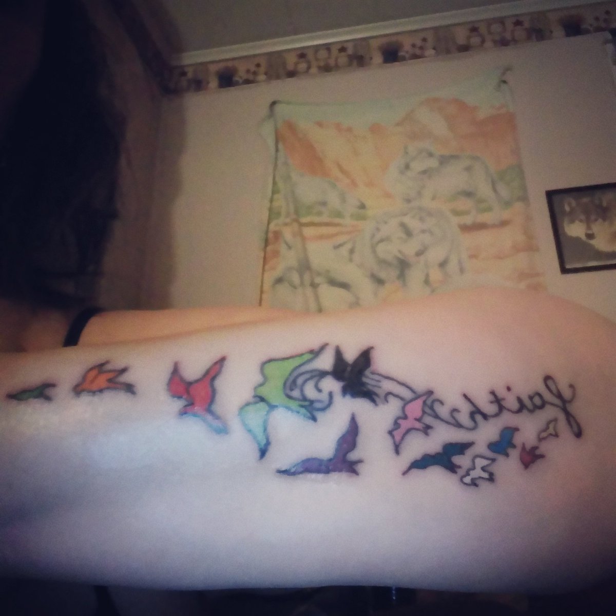 AprilMichelle93's tweet image. Newest addition! Faith with birds ❤