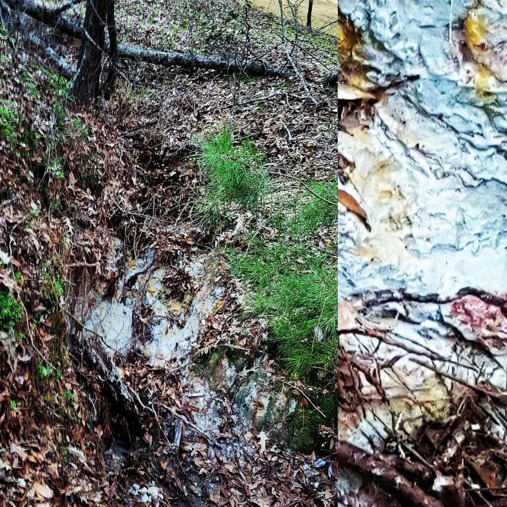 Juliette_A's tweet image. Seam of blue, chalky #clay peeking out of the ground in South #alabama. Always wanted to #throwapot with it.  :)