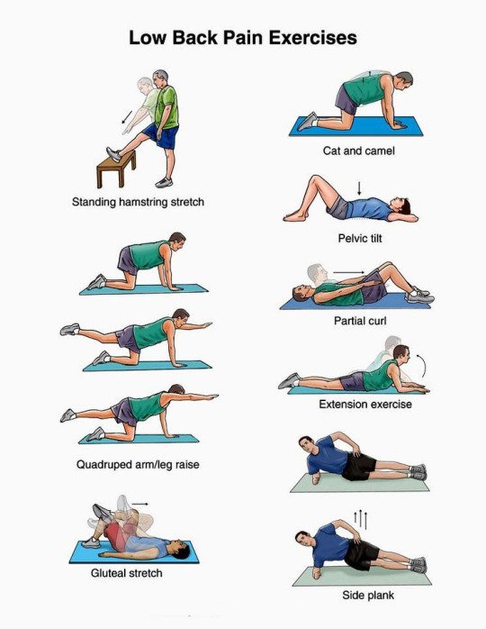 StayHealthy88's tweet photo. #healthtips #stayhealthy #lowbackpainexercises
Good and bad exercises of low back pain https://t.co/9Cqn23QOdP https://t.co/rxMx05dfwR