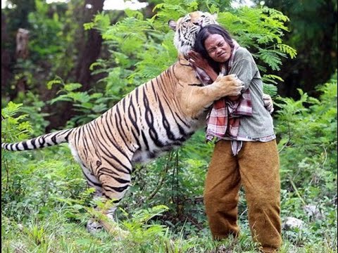 101 8 Bahana Fm Jkt A Twitter Seandainya Bisa Pelihara Binatang