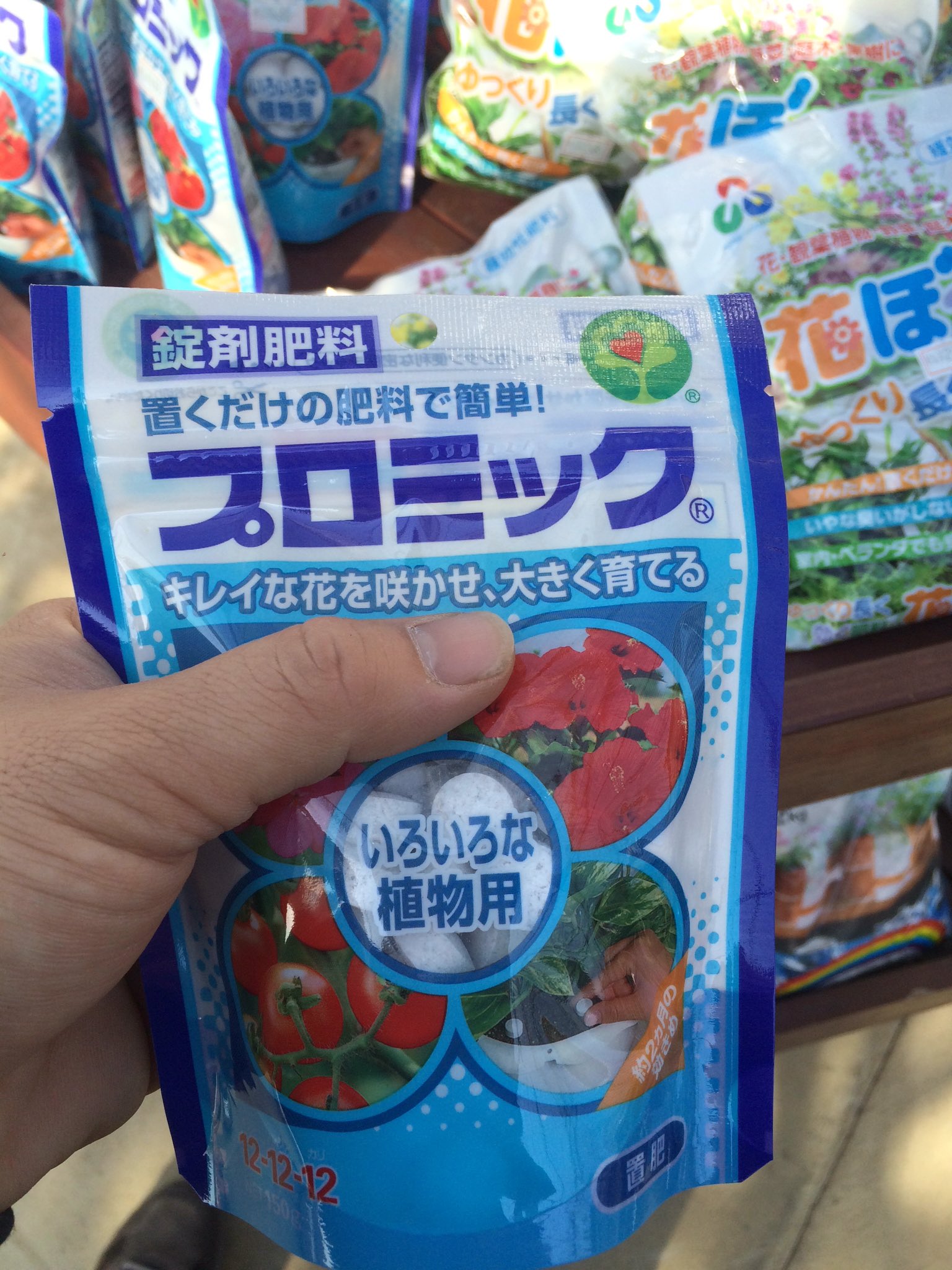 تويتر 神永園芸 على تويتر これは遅効性の固形肥料 観葉植物や鉢物は 肥料がすでに入ってます ただ 1ヶ月もすれば肥料 は切れます 切れる前に遅効性の肥料を 効く期間は肥料ごとに違います 期日がきたら 前にあげた肥料は綺麗に取り除いて 新しいものをあげ