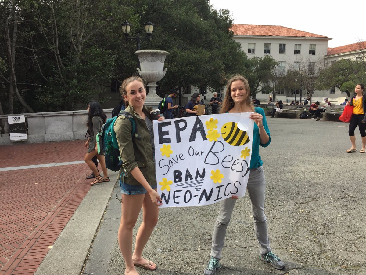 Cal_PIRG's tweet photo. @GinaEPA will you bee our Valentine this year and #BanNeonics? #savethebees! @EPA @calpirgstudents https://t.co/dU00vSn5b9