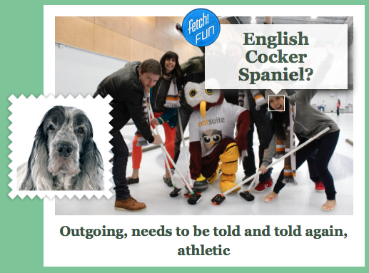 doggymacgee's tweet photo. #whatdogrobot https://t.co/oIQKdieeJf