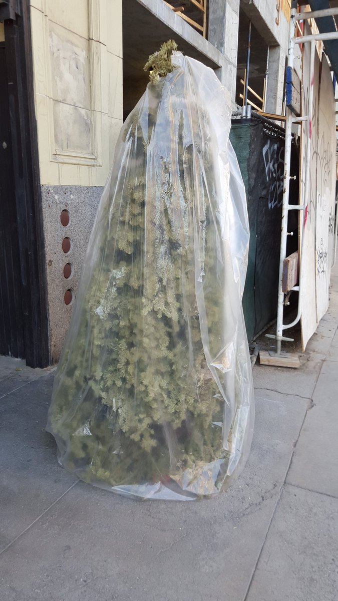 patrickjdonovan's tweet image. Christmas tree in a bag in downtown Los Angeles.  Been there a while.
