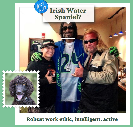 doggymacgee's tweet photo. #whatdogrobot https://t.co/UnicvqOdGP