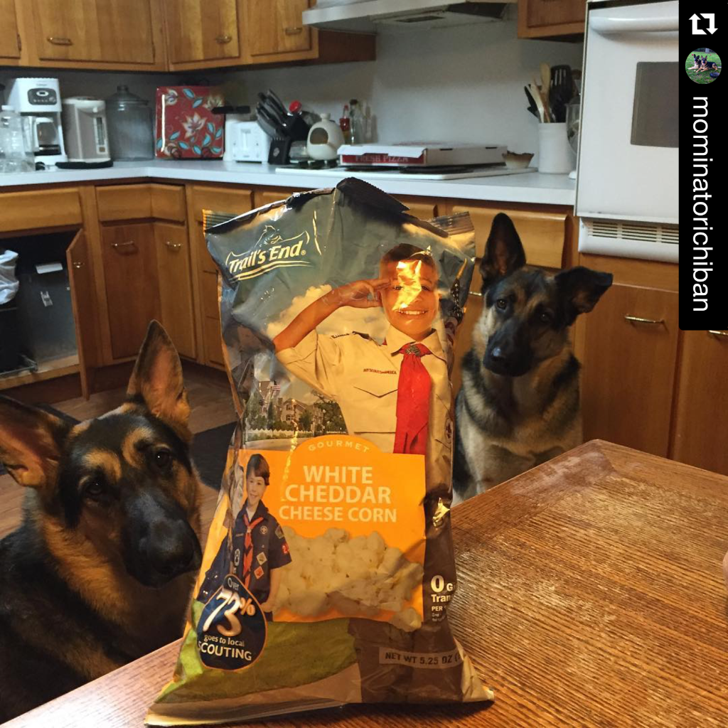 trailsendsnacks's tweet image. Humans aren't the only ones that love White Cheddar! 🐺🍿Show us how you enjoy it on Instagram using #TrailsEndPopcorn