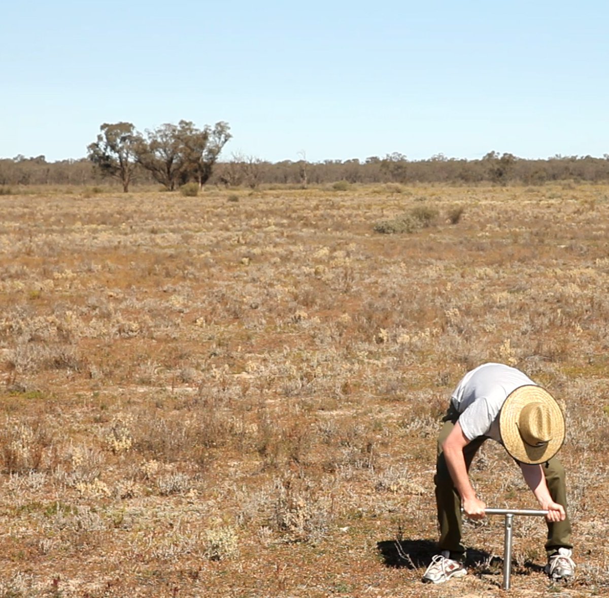 UTS School of Design tweet media
