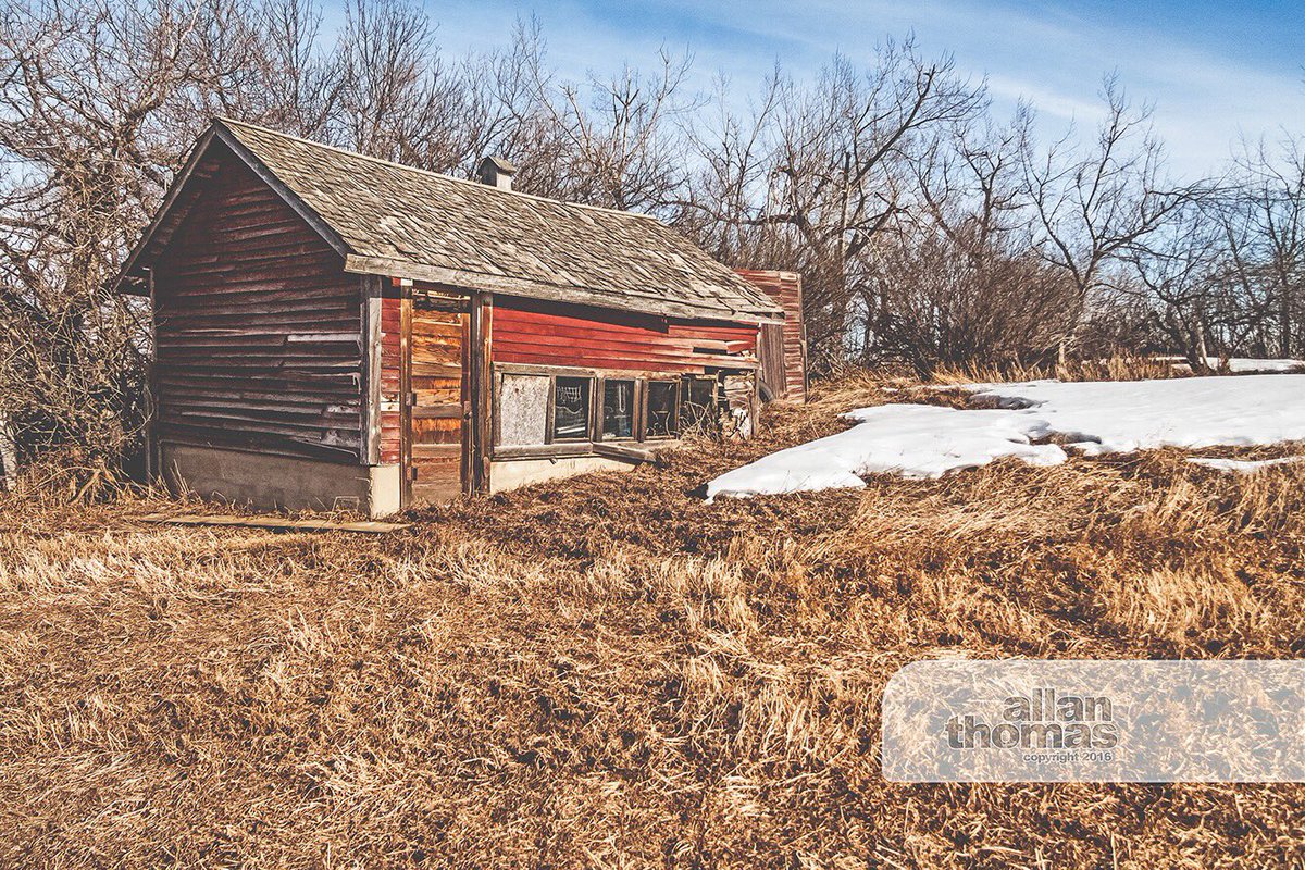 AllanThomas2015's tweet photo. Beautiful #Alberta Prairies find of the day! A good day for photography!#allanthomas2015 #farm #canon50D #rundown https://t.co/ZWTvuRBYfS