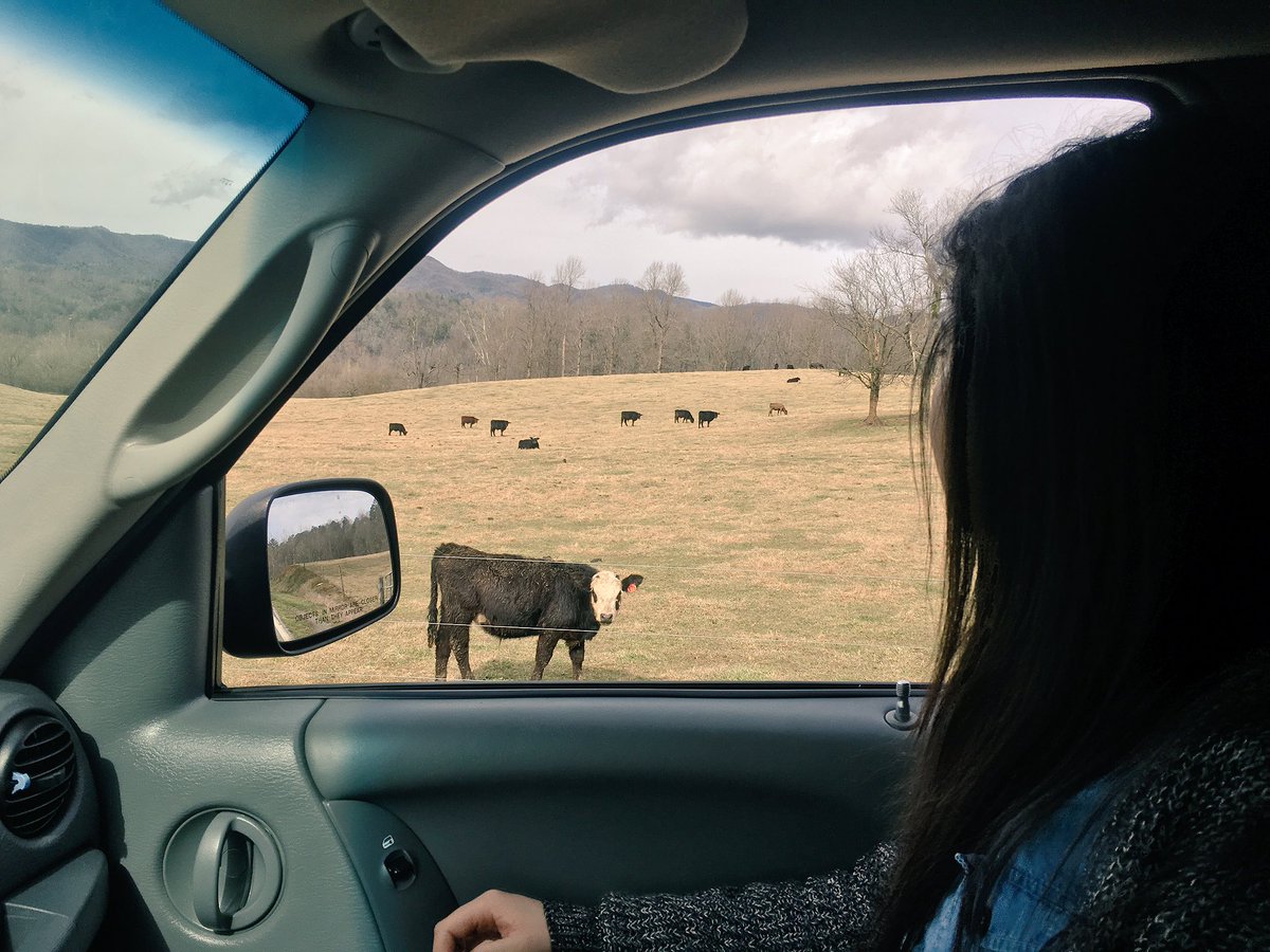 itsindyokay's tweet photo. tried sharing the gospel today, she wasn't too receptive however. she had unresolved beef with the lord, I think. https://t.co/YfitPZBFsS