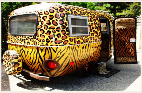 coach_net's tweet photo. Wild about camping!  #uniqueRV #RVlife https://t.co/V7wUnBkKwe