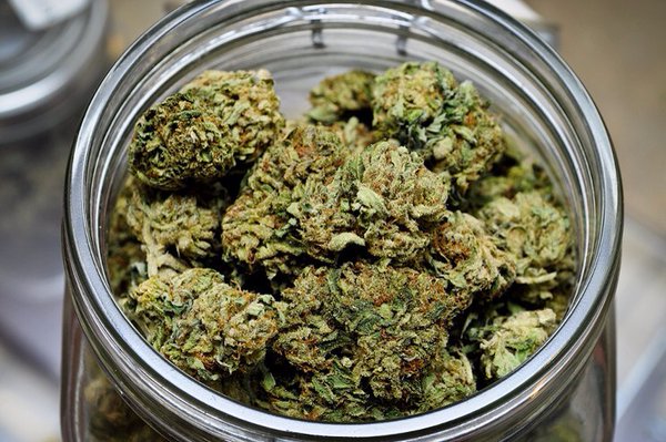 MME_SACRAMENTO's tweet photo. Puerto Rico Adopts Regulation for Use of Medical #Marijuana 

https://t.co/IzJufetBhl  #MME #cannabis #cbd https://t.co/Ur6AdmdylR