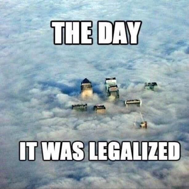 FranceHemp's tweet photo. https://t.co/TKzanusiKm is rockin and we'd #love to invite you and your friends to enjoy a #CannabisOnly Community😎💨 https://t.co/TbEB2E8hqx