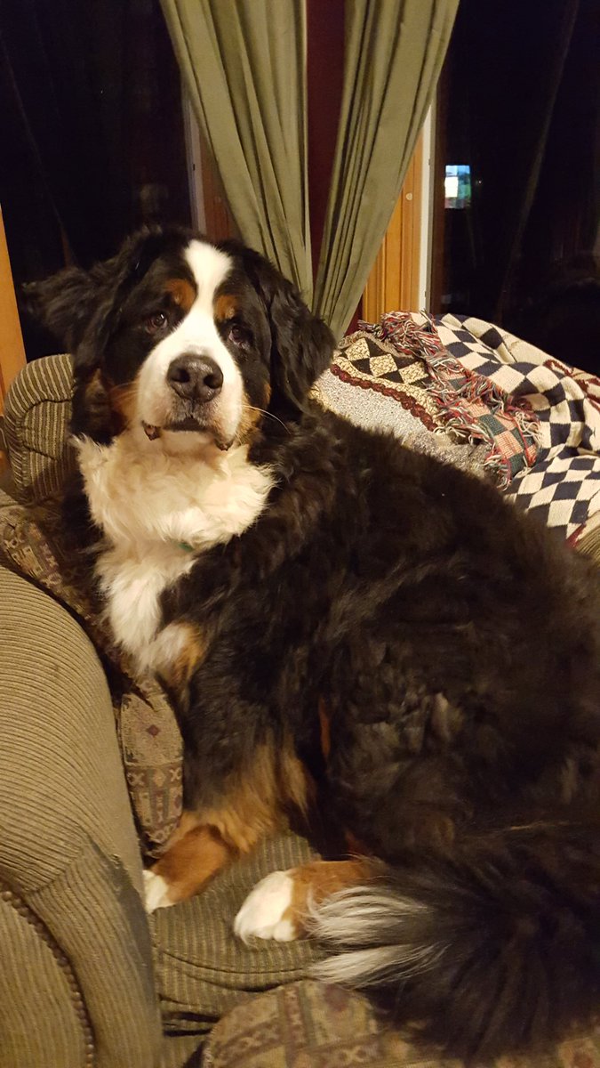 #WKCSELFIESWEEPSTAKES