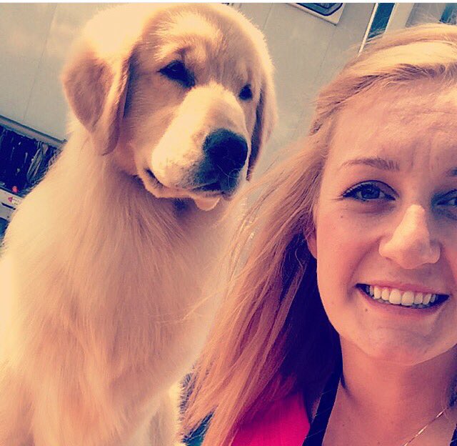 ashley_loitz's tweet photo. #WKCSELFIESWEEPSTAKES #dogshow #lifeofachampion #purina https://t.co/K5K5KXPFGt