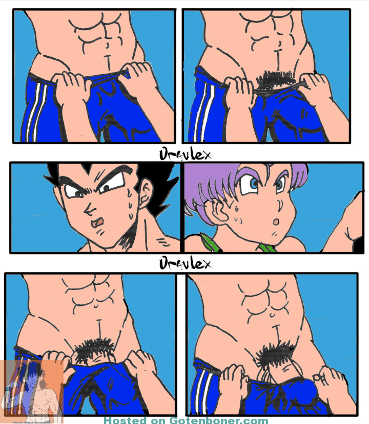 Volume 4 - Vegeta and Trunks in Color - Comic by Oravlex English http://got...