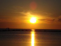 Your Love and relationships free psychic readings here: 
tofreepsychicreadings.com  #love #romance #Intuition