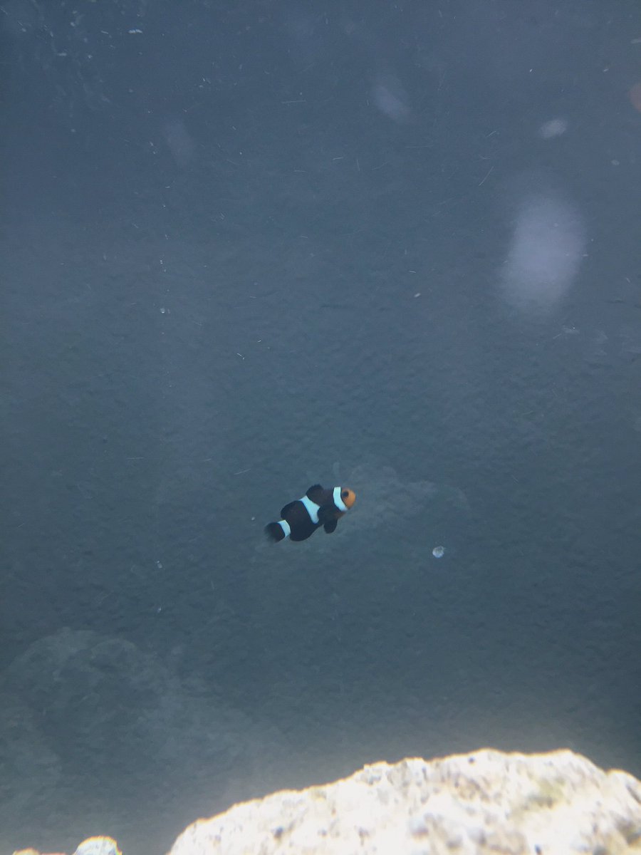 Taylor Nicole Dean on Twitter: 