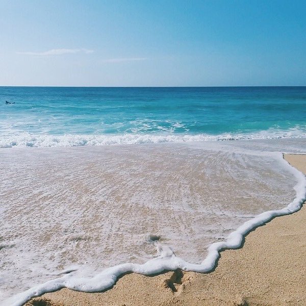 ChiIIVlbes's tweet photo. where I'd rather be ☀️🌊 https://t.co/G2HtdeIkQk