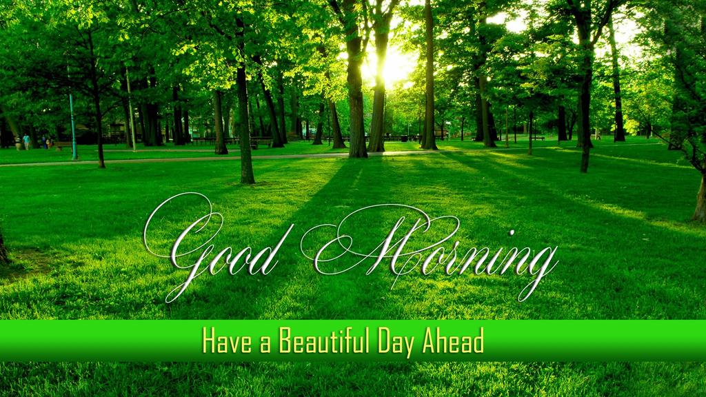 Stephen_Ramadan tweet picture