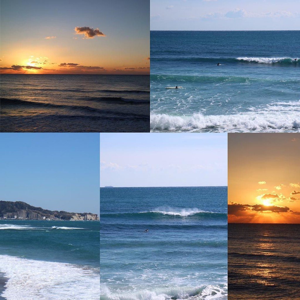 Surf Shots tweet media