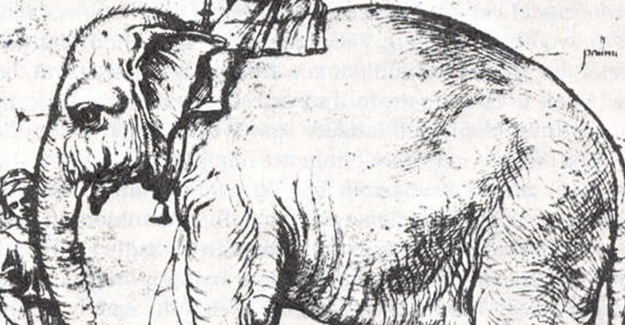 L’elefante amato dal Papa seppellito sotto al Vaticano linkiesta.it/it/article/201…