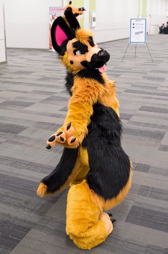 TwerKingShep's tweet photo. @buck_aye @EllieRloche @P_Blackthorne @_Nevergreen You miss understand then sir. My thrown is attached #Bootytho πβ¨ https://t.co/9teqRUw5SR
