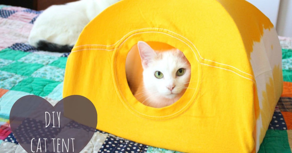 HuffPost's tweet photo. 3 steps to make a cat tent from an old T-shirt https://t.co/gjno3hdKgI https://t.co/Erzqs8lbRI