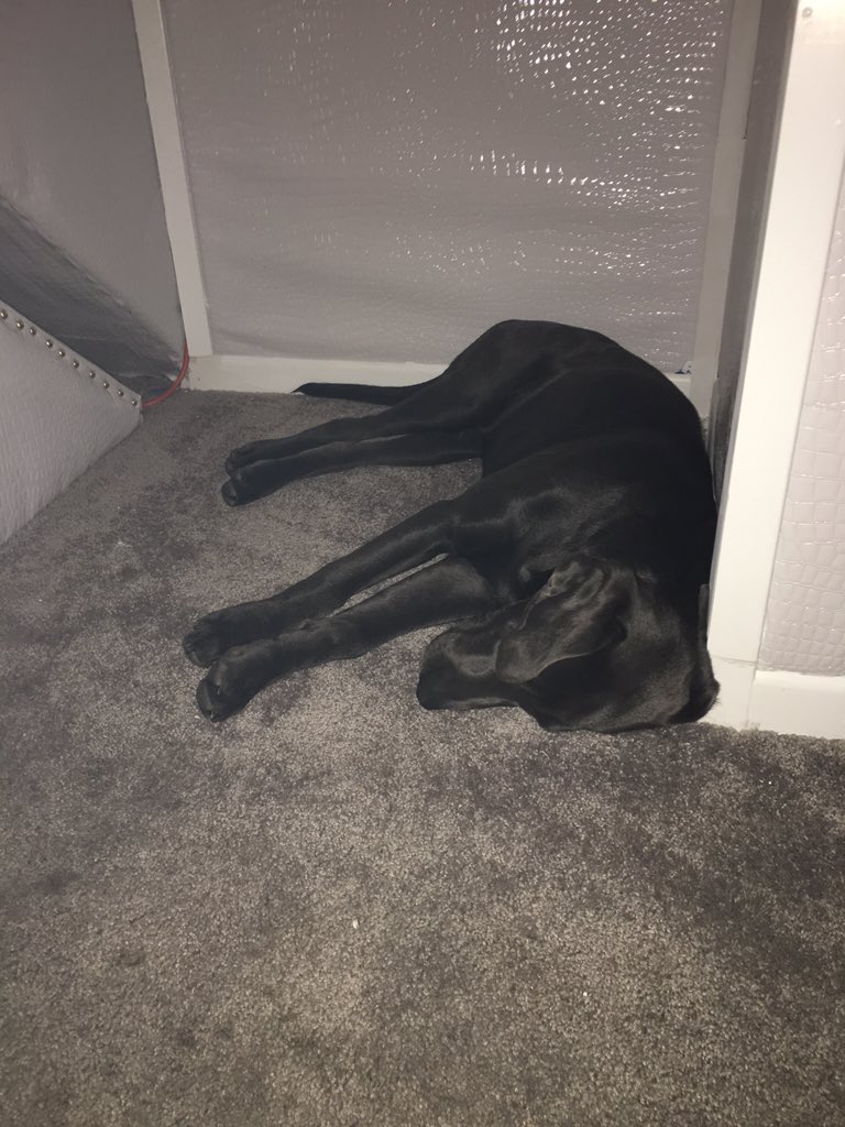 HayesGrier's tweet photo. see no evil my son https://t.co/KUsmDbay58